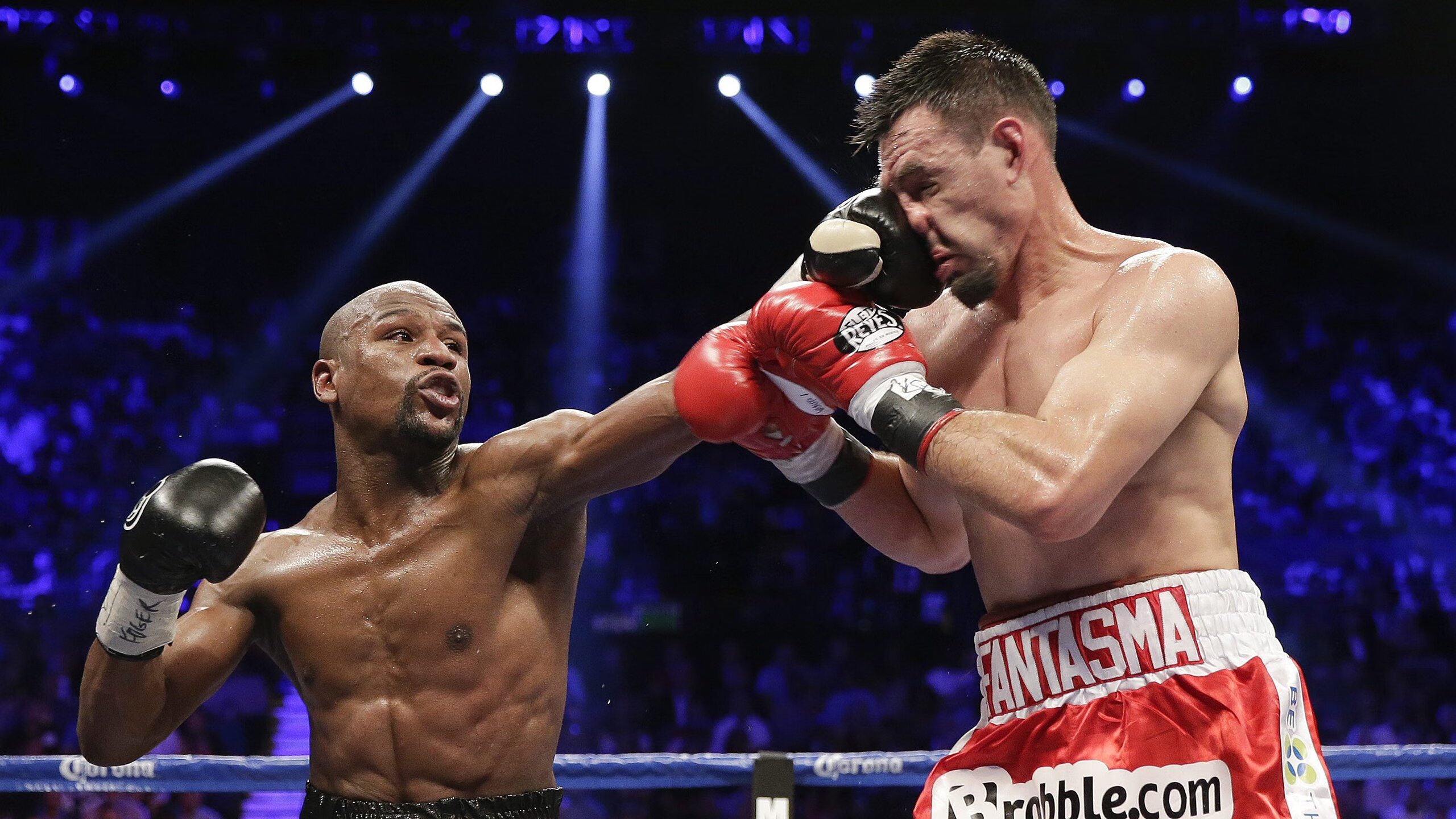 EDG引入人工智能辅助训练技术，edg iem